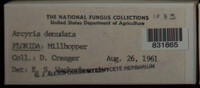 Image Associated With the Occurence